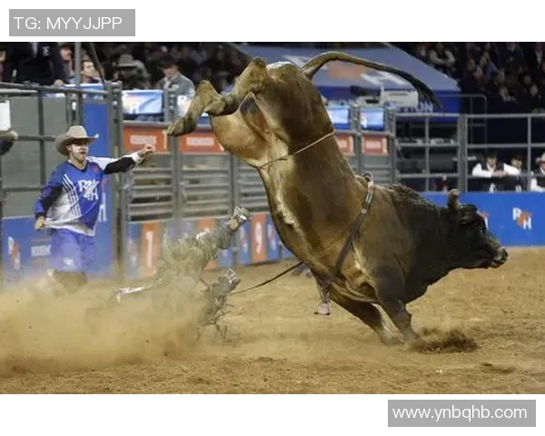 公开赛杯休斯敦对决精彩纷呈球迷期待激烈比赛的盛宴